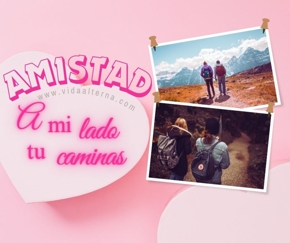 Amistad seg&uacute;n Moliere