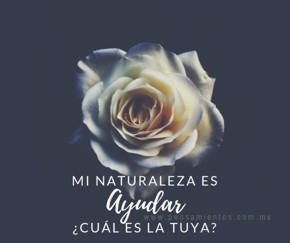 �Cu&aacute;l es tu naturaleza?