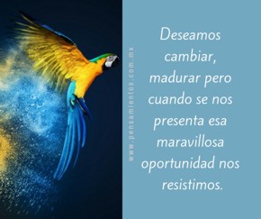 El loro que ped&iacute;a libertad