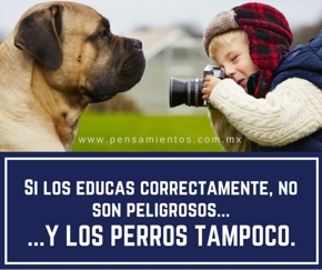 Homenaje a la amiga que se fu&eacute;