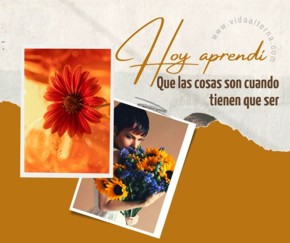 Hoy aprend&iacute;