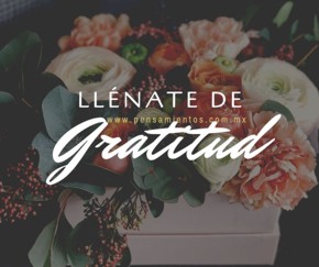 Ll&eacute;nate de gratitud