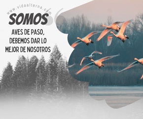 Reflexi&oacute;n