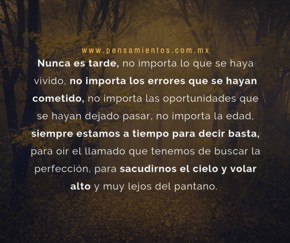Reflexi&oacute;n