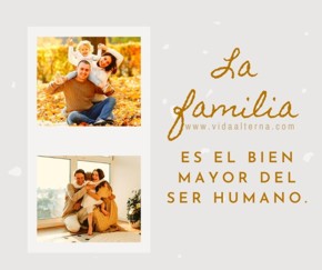 ¿Sabes cuándo fallamos?