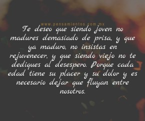 Te deseo...